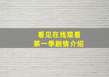 看见在线观看第一季剧情介绍