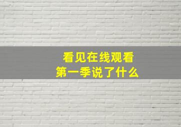 看见在线观看第一季说了什么