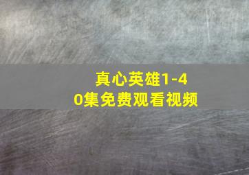 真心英雄1-40集免费观看视频