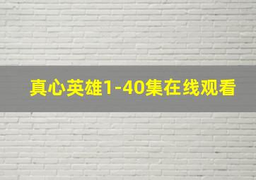 真心英雄1-40集在线观看