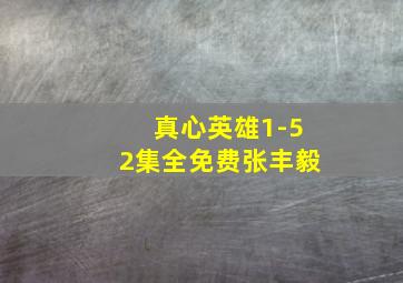 真心英雄1-52集全免费张丰毅