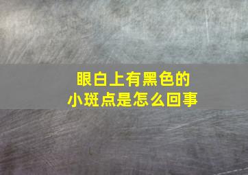 眼白上有黑色的小斑点是怎么回事