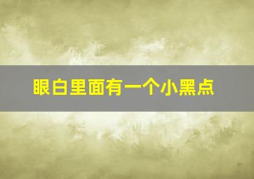 眼白里面有一个小黑点