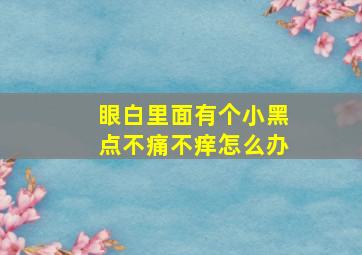 眼白里面有个小黑点不痛不痒怎么办