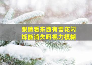 眼睛看东西有雪花闪烁能消失吗视力模糊