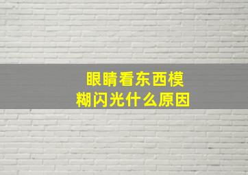 眼睛看东西模糊闪光什么原因