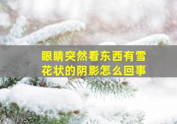 眼睛突然看东西有雪花状的阴影怎么回事