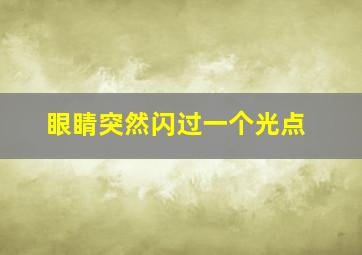 眼睛突然闪过一个光点