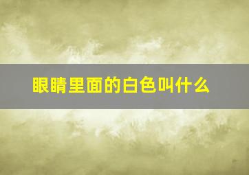 眼睛里面的白色叫什么