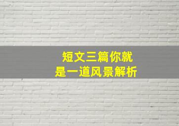 短文三篇你就是一道风景解析