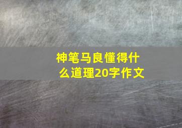 神笔马良懂得什么道理20字作文