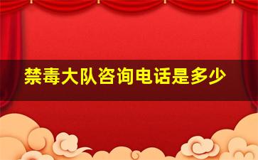 禁毒大队咨询电话是多少