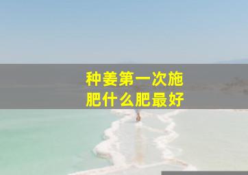 种姜第一次施肥什么肥最好