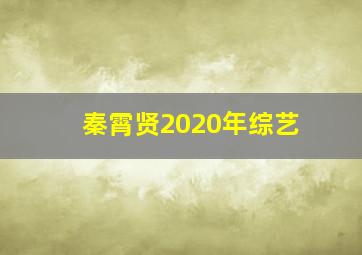 秦霄贤2020年综艺