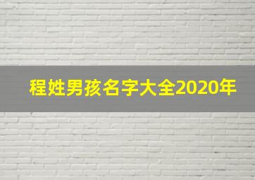 程姓男孩名字大全2020年