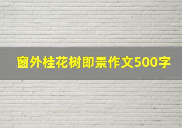 窗外桂花树即景作文500字