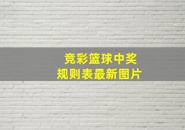 竞彩篮球中奖规则表最新图片