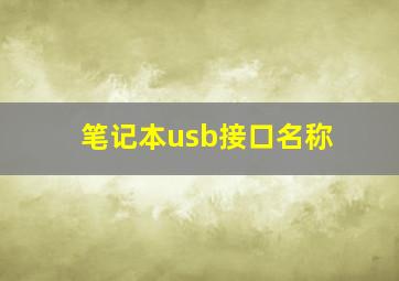 笔记本usb接口名称