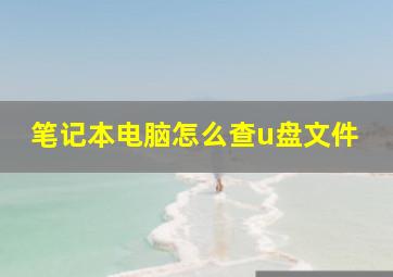 笔记本电脑怎么查u盘文件