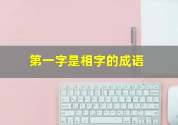 第一字是相字的成语