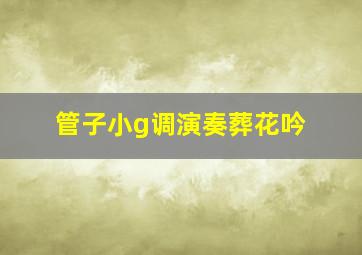 管子小g调演奏葬花吟