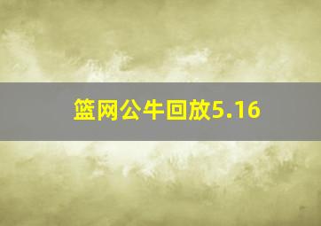 篮网公牛回放5.16