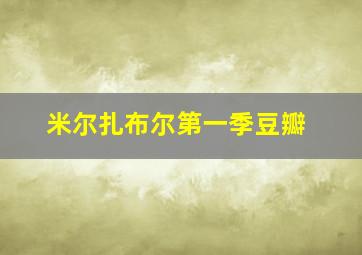 米尔扎布尔第一季豆瓣