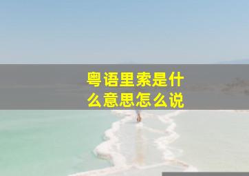 粤语里索是什么意思怎么说