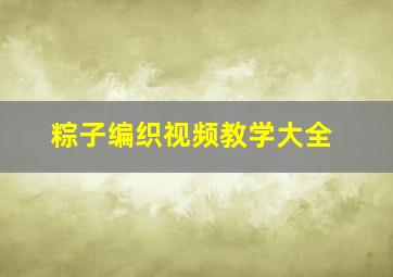 粽子编织视频教学大全