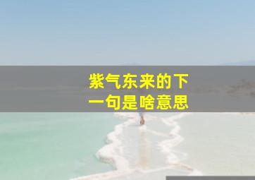 紫气东来的下一句是啥意思