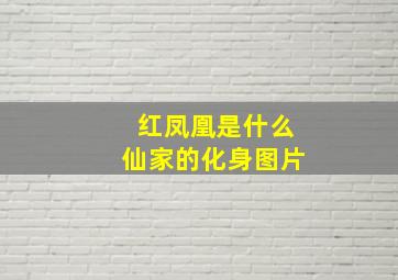 红凤凰是什么仙家的化身图片