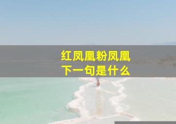 红凤凰粉凤凰下一句是什么