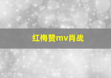 红梅赞mv肖战