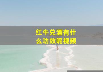 红牛兑酒有什么功效呢视频