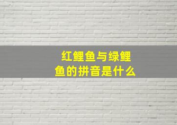 红鲤鱼与绿鲤鱼的拼音是什么