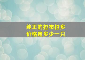 纯正的拉布拉多价格是多少一只