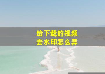 给下载的视频去水印怎么弄