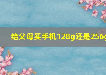 给父母买手机128g还是256g