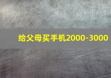 给父母买手机2000-3000