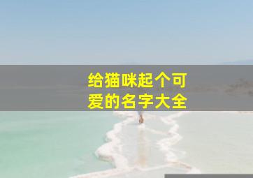 给猫咪起个可爱的名字大全