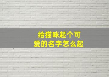 给猫咪起个可爱的名字怎么起