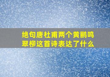 绝句唐杜甫两个黄鹂鸣翠柳这首诗表达了什么