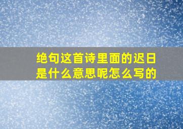 绝句这首诗里面的迟日是什么意思呢怎么写的