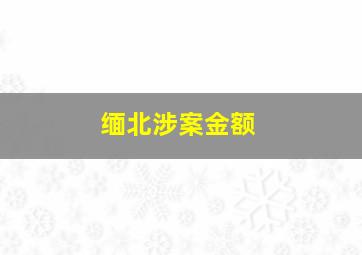 缅北涉案金额