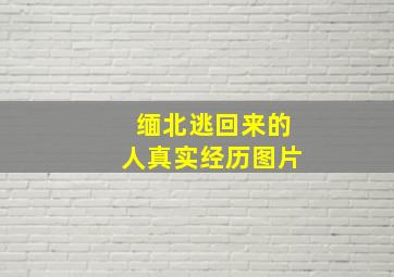 缅北逃回来的人真实经历图片