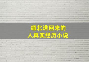 缅北逃回来的人真实经历小说