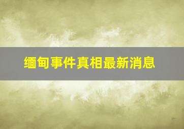 缅甸事件真相最新消息