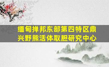 缅甸掸邦东部第四特区鼎兴野熊活体取胆研究中心