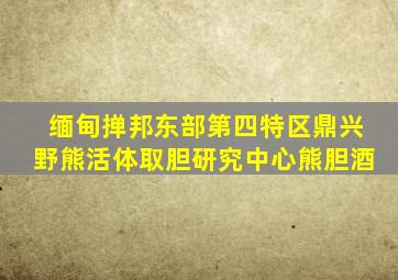 缅甸掸邦东部第四特区鼎兴野熊活体取胆研究中心熊胆酒