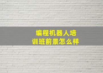 编程机器人培训班前景怎么样